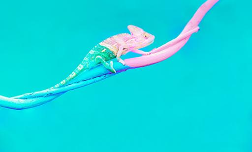 Tailoring_and_Adaptability